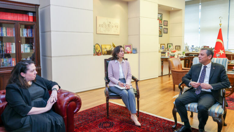 chp-genel-baskani-ozel-irlandanin-ankara-buyukelcisi-brosnani-kabul-etti-EQMftfXd.jpg